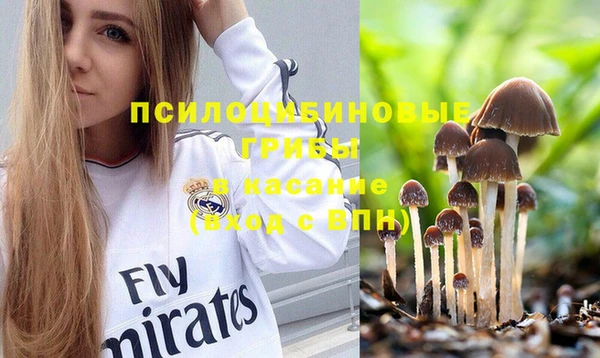 круглые Алексин
