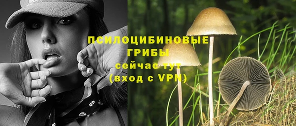 молекула духа Алзамай