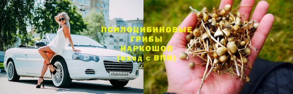 молекула духа Алзамай